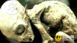 深入解密怪异生物 这些怪物有多恐怖