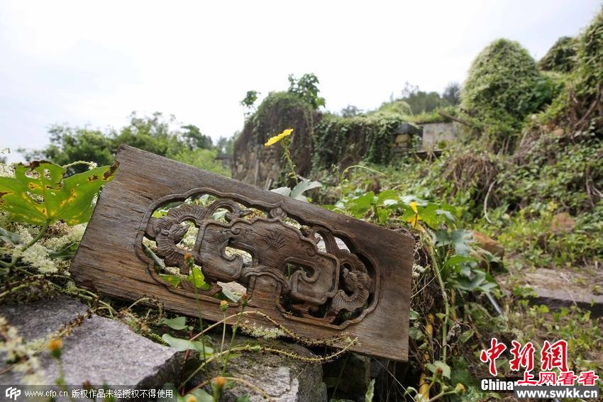 浙江一荒废几十年古村变身童话世界 图_0