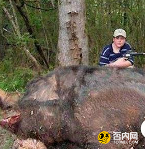 深入解密怪异生物 这些怪物有多恐怖