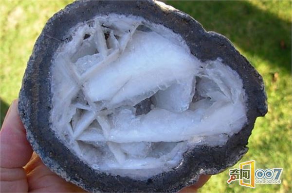 女孩捡回罕见奇石，切开后傻眼了