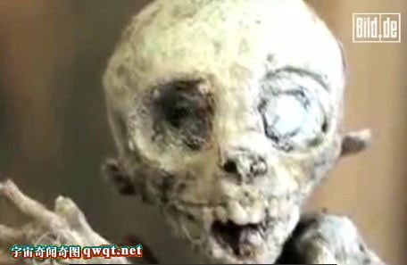 惊骇图集解秘在麦田怪圈捕获外星人幼崽的事件之谜