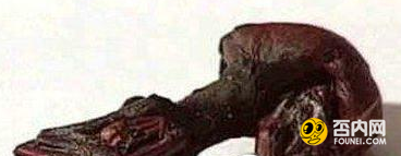 深入解密怪异生物 这些怪物有多恐怖