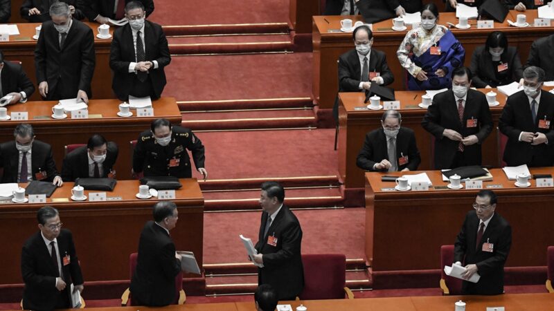 委员花亚伟摊提案 允30岁以上单身女性生育一胎