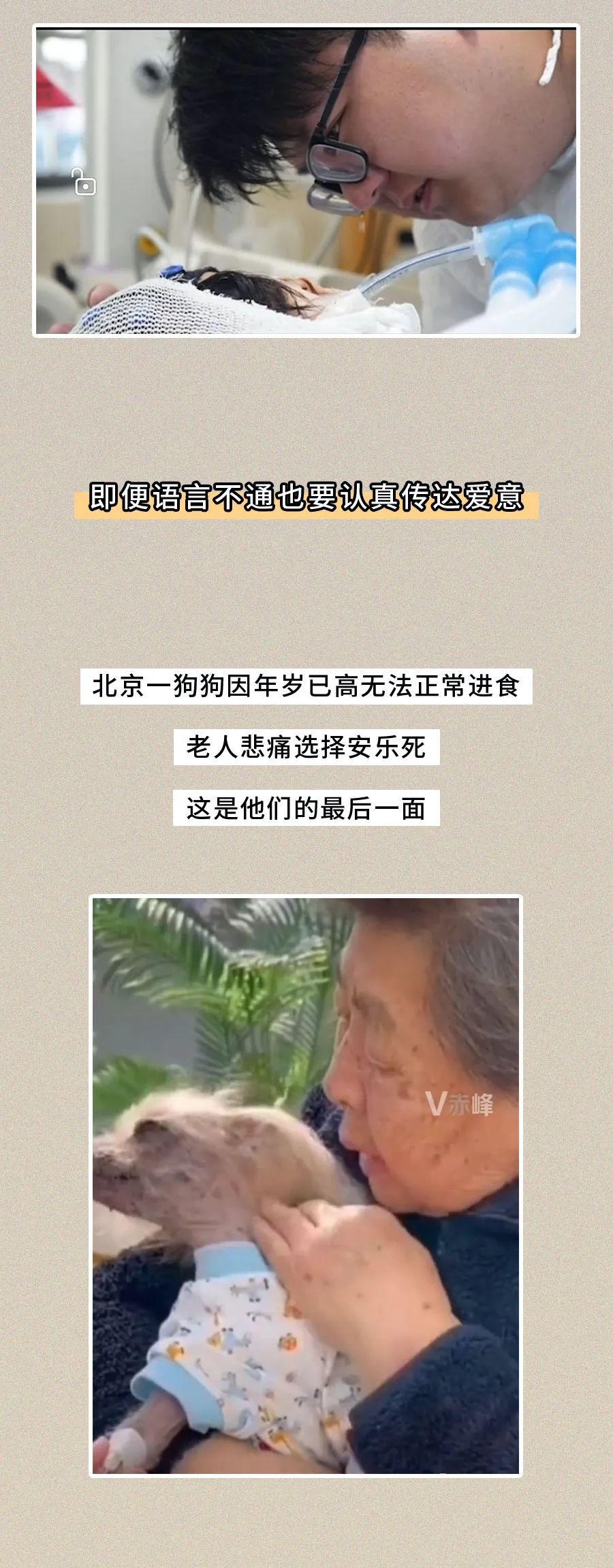 上飞机前，我没想到这是最后一面