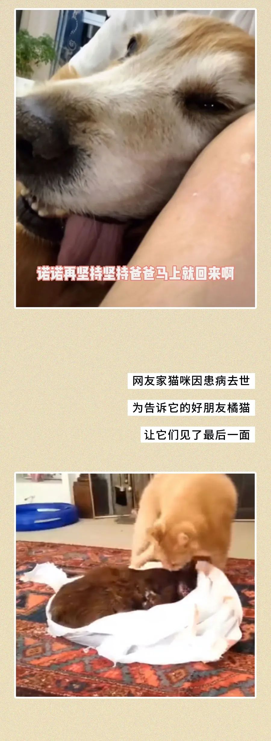 上飞机前，我没想到这是最后一面