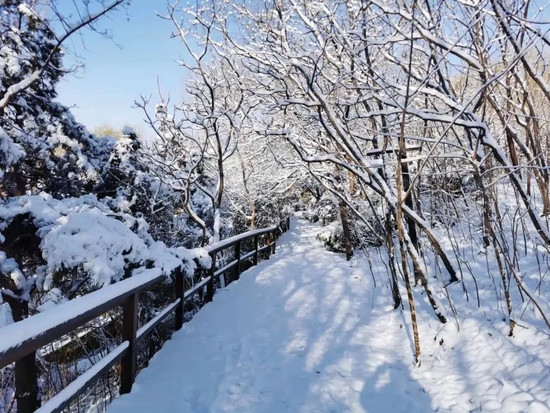 俞敏洪散记：在世事无常间寻觅安心