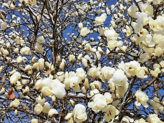 俞敏洪散记：在世事无常间寻觅安心