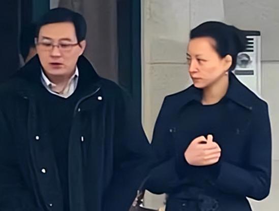 董卿老公密春雷及旗下公司被强制执行7亿多，夫妻二人去向仍成谜