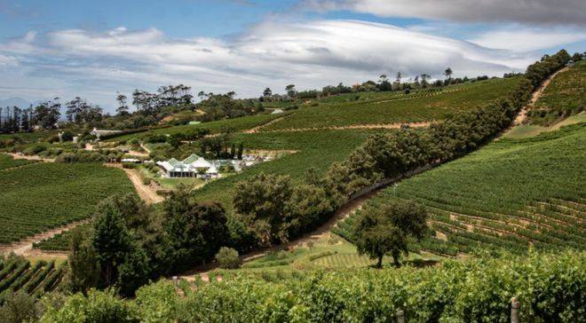 名媛“插秧”成为新潮流，惊呆众人：人没了底线，有多可怕