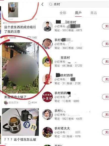 名媛“插秧”成为新潮流，惊呆众人：人没了底线，有多可怕