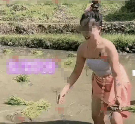 名媛“插秧”成为新潮流，惊呆众人：人没了底线，有多可怕