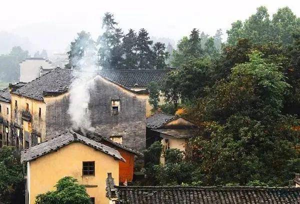 名媛“插秧”成为新潮流，惊呆众人：人没了底线，有多可怕