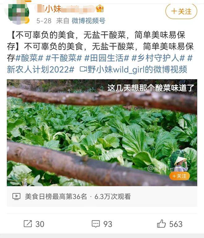 名媛“插秧”成为新潮流，惊呆众人：人没了底线，有多可怕
