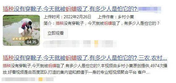 名媛“插秧”成为新潮流，惊呆众人：人没了底线，有多可怕