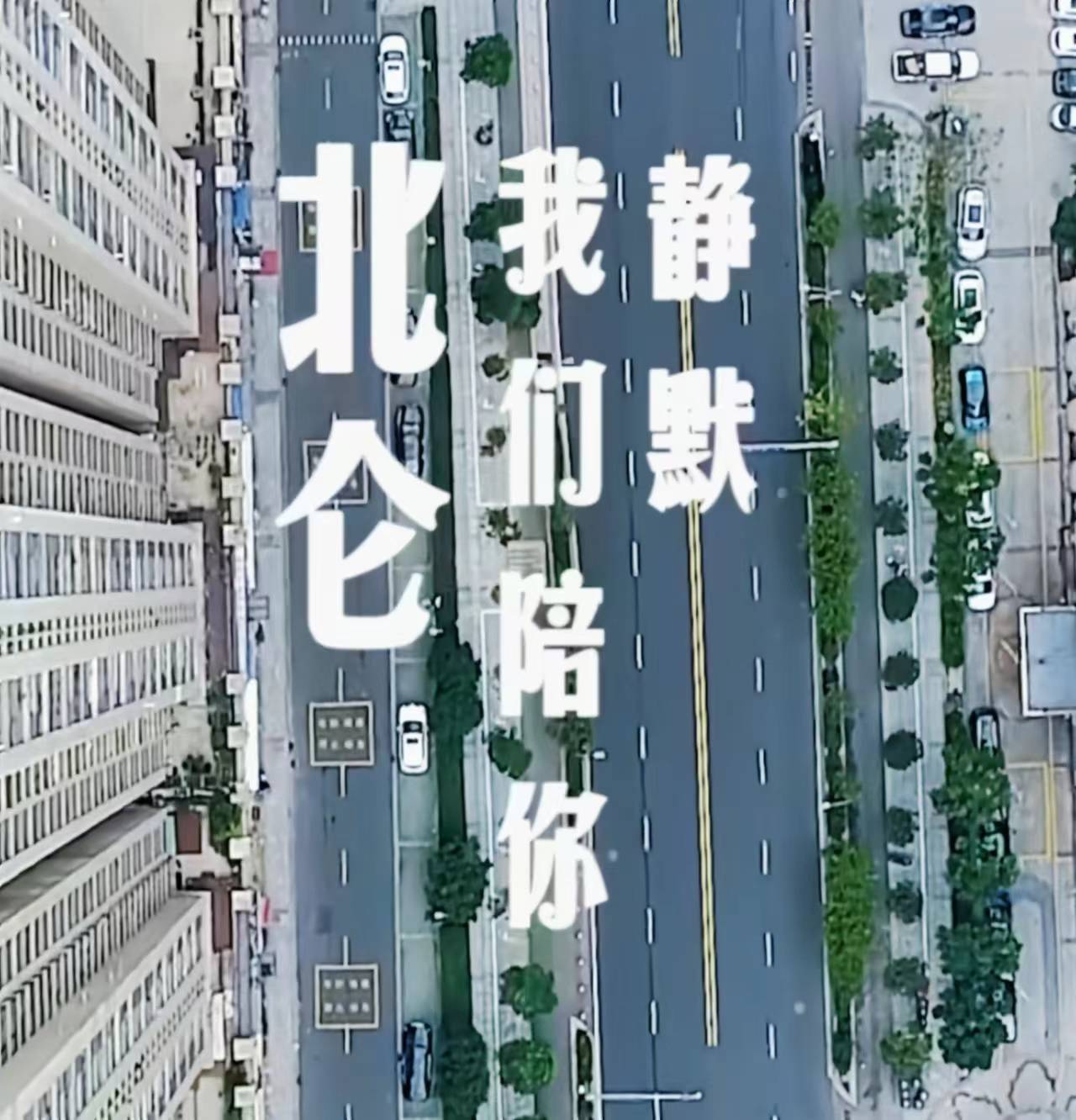 北仑爱情故事感动全网，女主陈某被立案调查