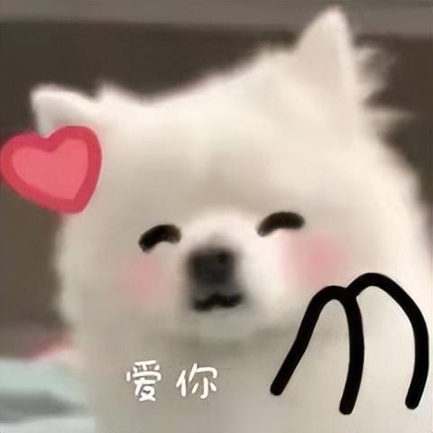 北仑爱情故事感动全网，女主陈某被立案调查