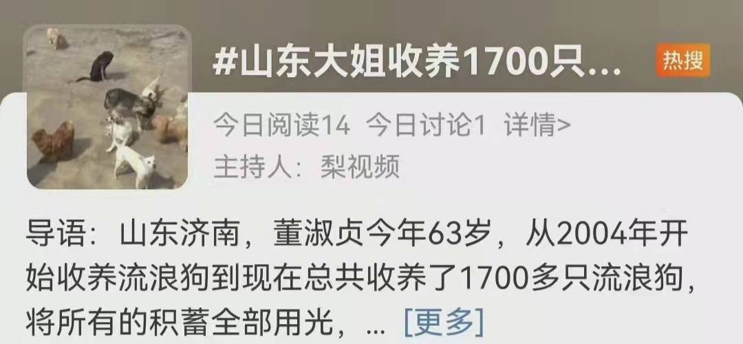 收养2000只流浪狗，负债50万遭家人抛弃，网友：这是病，得治！