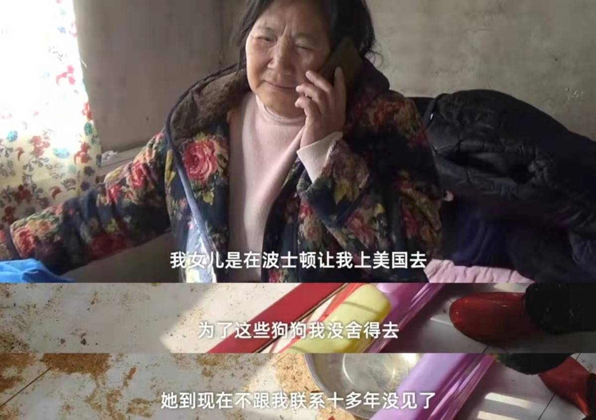 收养2000只流浪狗，负债50万遭家人抛弃，网友：这是病，得治！