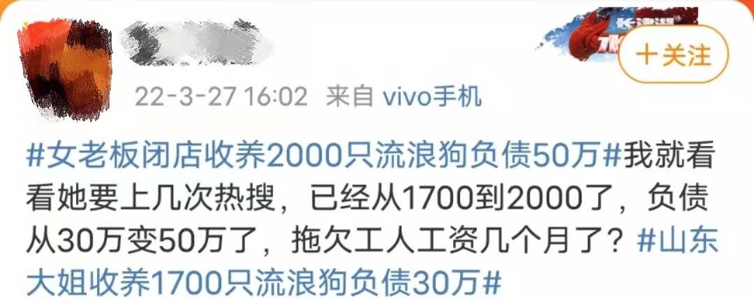 收养2000只流浪狗，负债50万遭家人抛弃，网友：这是病，得治！