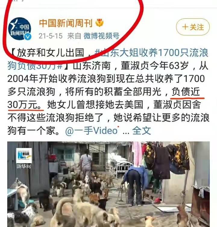 收养2000只流浪狗，负债50万遭家人抛弃，网友：这是病，得治！