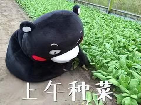 河大女生丢弃免费物资，讽刺狗都不吃，事后道歉被指阴阳怪气