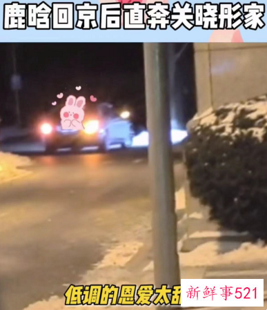 鹿晗关晓彤同居实锤了吗