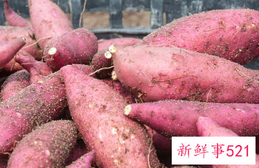 红薯切片蒸多久能熟