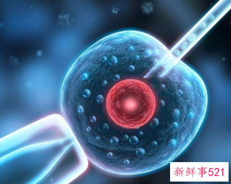 试管婴儿tsh高是怎么回事