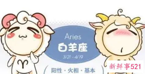 娶白羊女好还是娶金牛女好