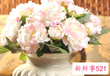 一进门看见假花好不好