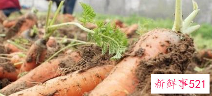 适合高血糖经常吃的食物