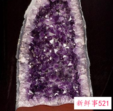 客厅摆什么镇宅又吉祥