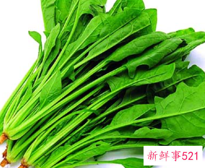 春天的时令食物