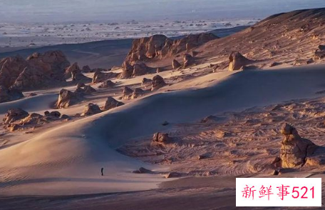 “全军挂像英模”林俊德为国铸核盾