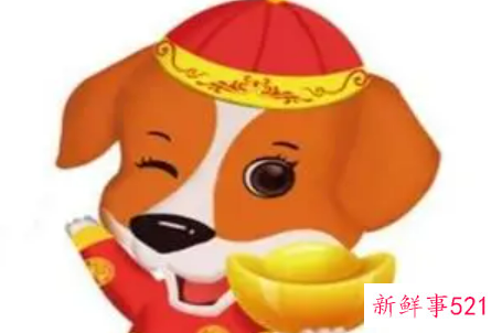 属狗哪年结婚好