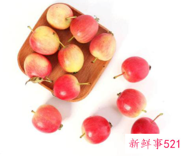 沙果哪里的品种最好