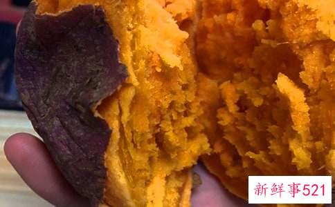 梦见在地里扒红薯