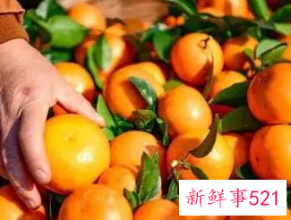 柑橘如何保鲜收藏