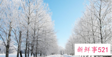 写出与冬天有关的事物