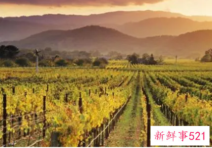 克拉克酒庄Clarke