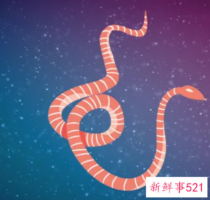 老人梦见蛇是什么含义