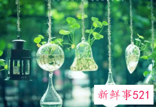 女生网名伤感唯美