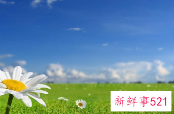 春天的寓意和象征的作文