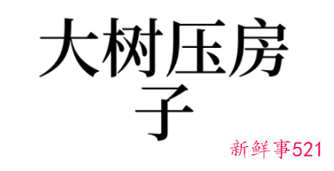 梦见大树压在房子上什么意思