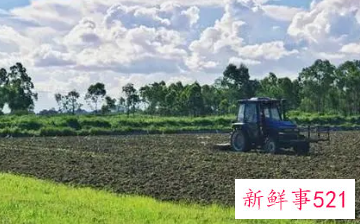 梦见耕地有什么意思