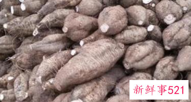 粉葛的作用和功效