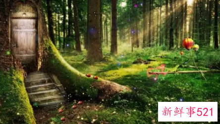 编写童话故事作文400字