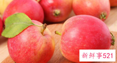 沙果哪里的品种最好