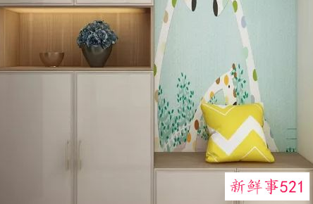 怎样去除鞋柜的臭味