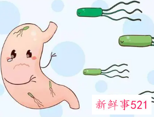 幽门螺旋杆菌被列为一级致癌物
